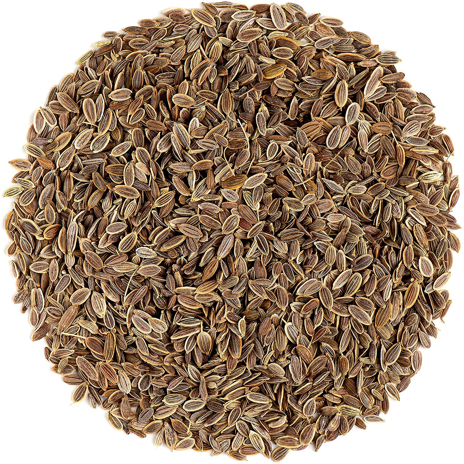 Dill Seeds