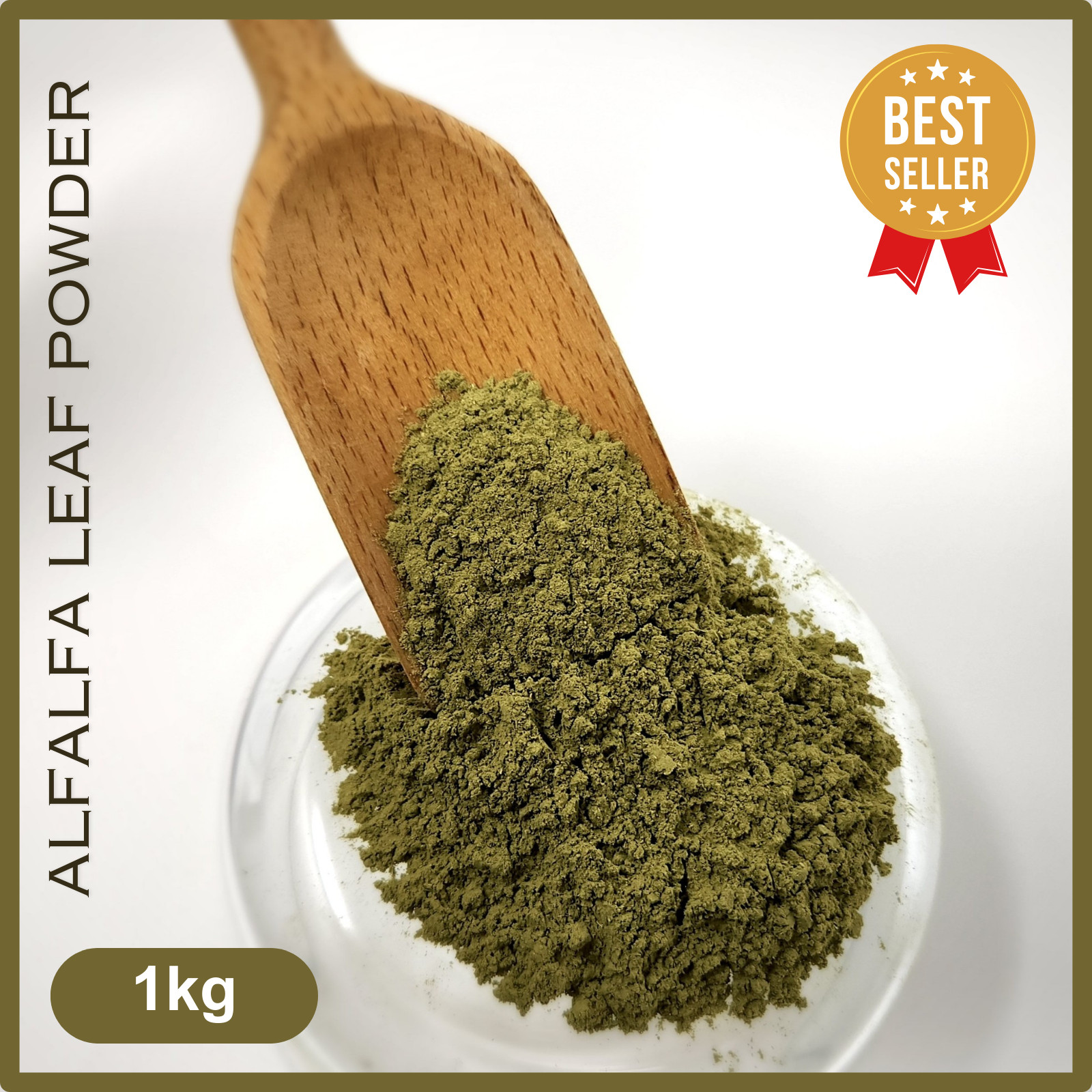 Alfalfa Leaf Medicago sativa