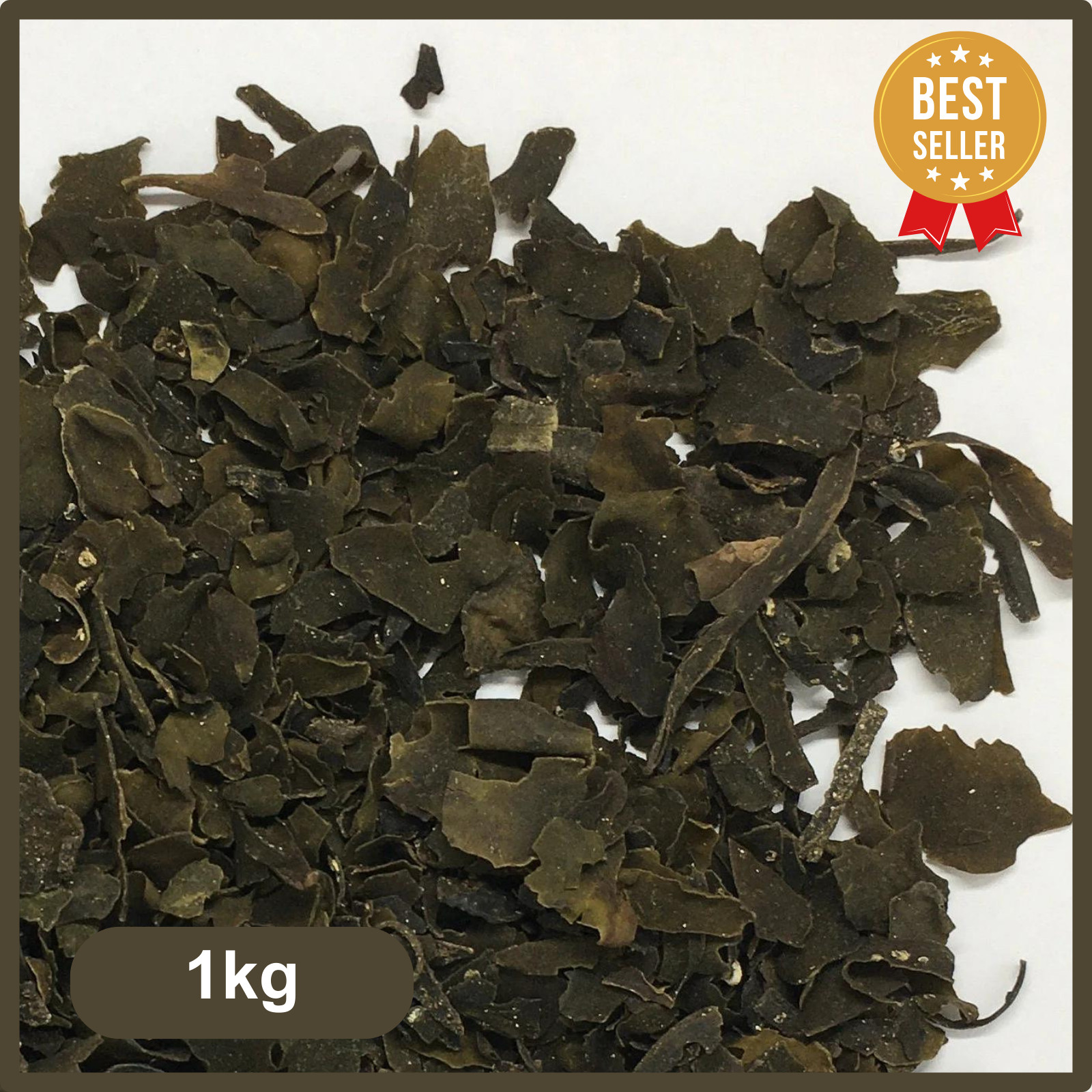 Bladderwrack