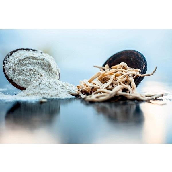 White Musali Powder (Chlorophytum Borivilium)